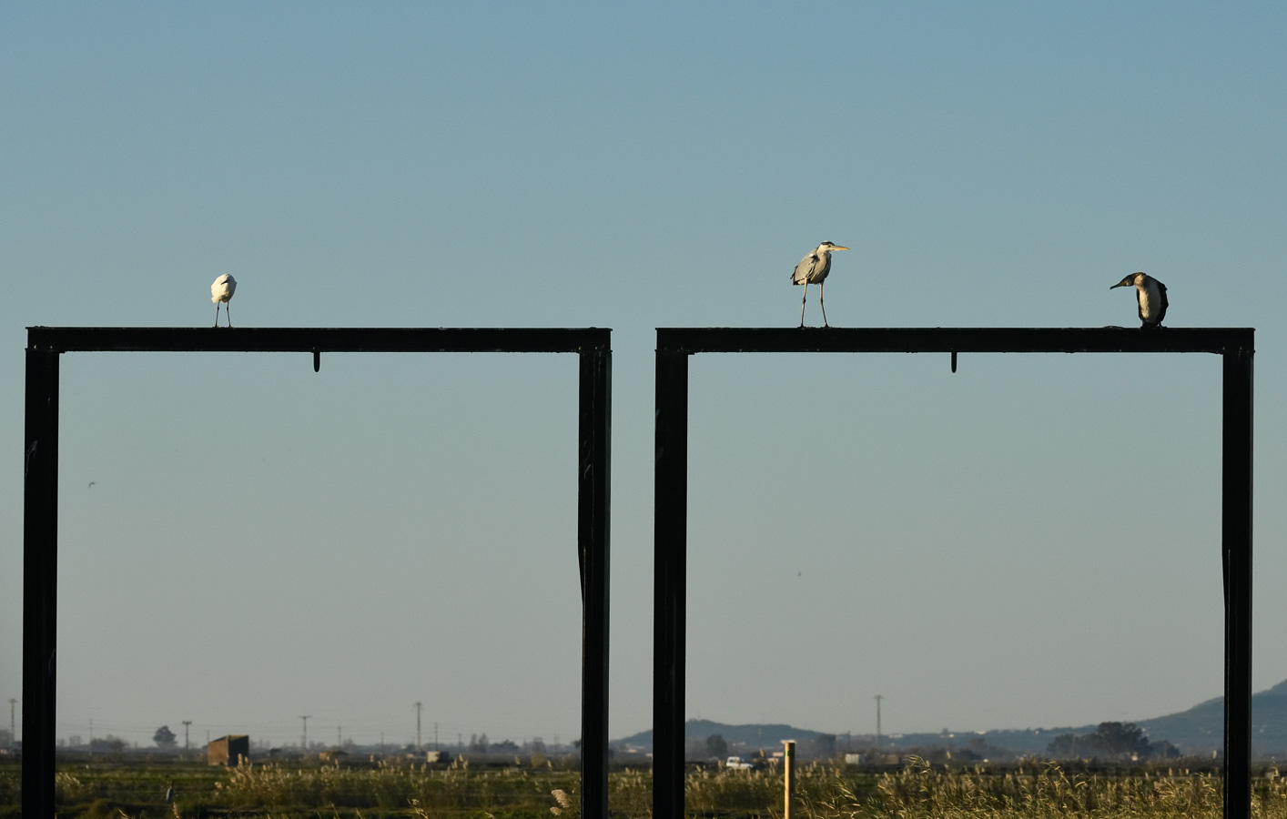 [200 mm, 1/4000 Sek. bei f / 10, ISO 1600]